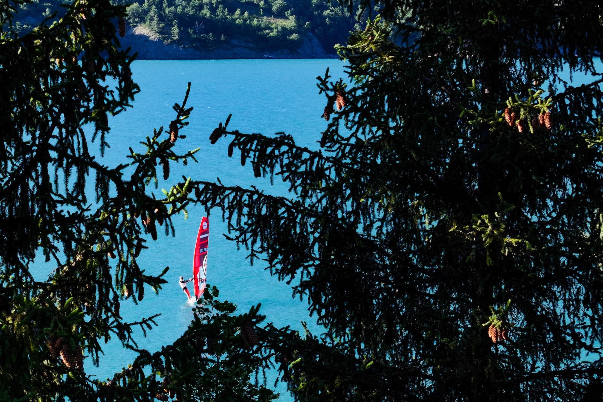 Ein einzelner Fahrer auf dem tiefblauen See, fotografiert durch die Zweige einer Fichte